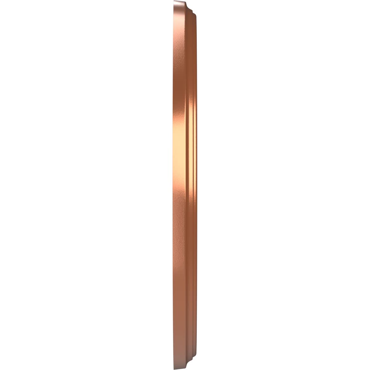 Ekena Millwork Cmp10Bebco Berkshire Thermoformed Pvc Ceiling Medallion (Fits Canopies Up To 4 1/2), 10Od X 3 1/2Id X 3/4P, Brigh