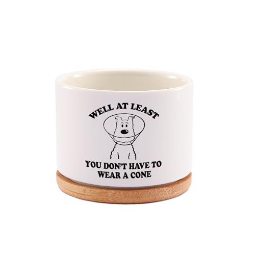 Loovelo Well at Least You Don’t Have to Wear A Cone Recovery Gifts Ceramic Succulent Plant Pot with Bamboo Tray Round Get ...