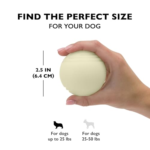 Chew King by Mammoth Glow-in-the-Dark Dog Fetch Balls (8-Pack), Lattice Rubber Balls for Night Play, High Bounce Fetch Toy...