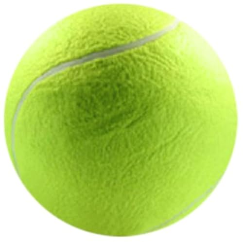 Penn Tennis Balls Penn