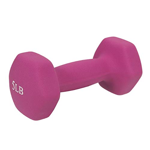 Sunny Health & Fitness Neoprene Coated Hex Shaped Dumbbell Non-Slip Fitness Weights for Home Gym Exercise, Full Body Worko...