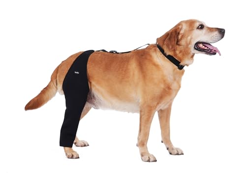 Dog Recovery Sleeve Back Leg Breathable Material,Dog Leg Sleeve to Stop Licking and Biting Firm and Secure, Adjustable Siz...