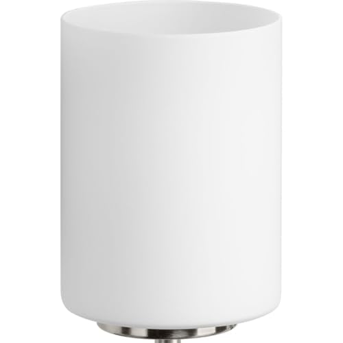 Progress Lighting 2-Light Modern Bath Vanity Light, Etched White Glass, Brushed Nickel, Model P2158-09