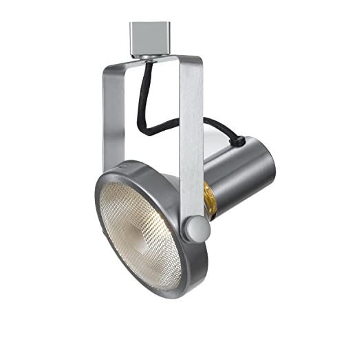 Cal PAR38 LED Bulb 120V 90W Max Steel Silver 5x5x9.5 in Model HT-242-BS