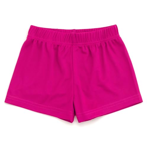 Bluey Girls T-Shirt and Mesh Shorts Outfit Set Toddler to Big Kid Sizes (2T - 10-12)