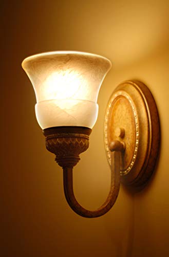 Feit Electric A19 Led Light Bulbs, 60W Equivalent, 800 Lumens, Non-Dimmable, 4100K Cool White, 1 Pack, Model A800/841