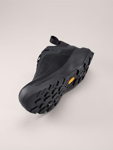 Arc'teryx Vertex Alpine GTX Shoe Men's | Fast and Light Gore-Tex Approach Shoe