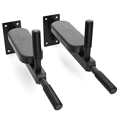 Synergee Wall Mounted Dip Station. Dip Bars for L Sits, Knee Raises, and More! Gymnastics and Upper Body Fitness Training....