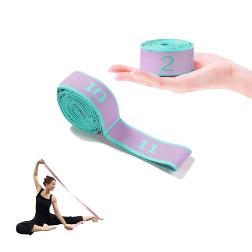 Multi-Loop Stretch Band - Yoga, Pilates, Ballet, and Physical Therapy Stretching Strap for Flexibility, Leg Stretching, an...