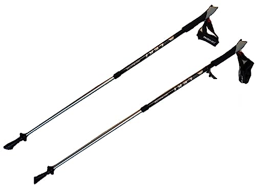 LEKI Nordic Walking Instructor Trekking Pole