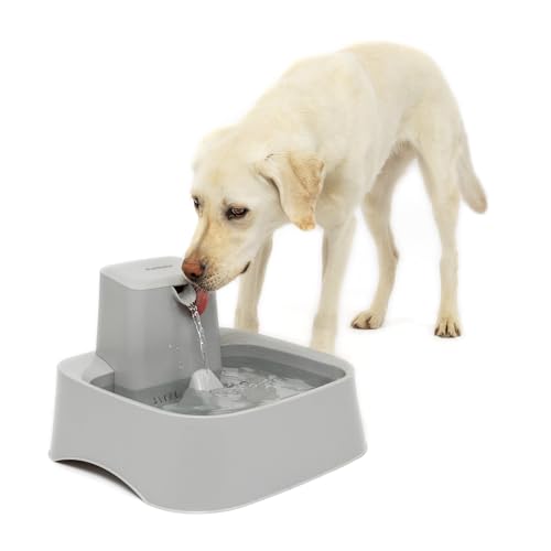 PetSafe Drinkwell Pet Fountain,Dog Water Bowl Dispenser for Cat and Dogs, Plastic, Adjustable Flow Control, Easy to Clean ...
