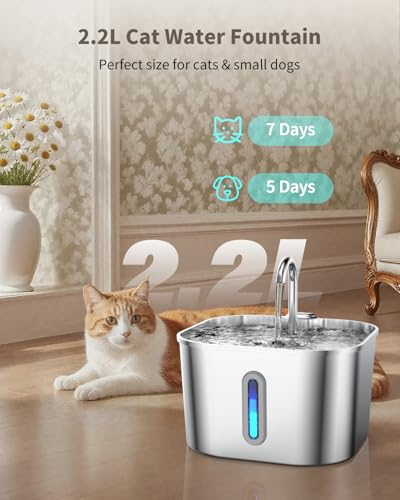 Cat Water Fountain Stainless Steel, 74oz/2.2L Cat Fountain with Quiet Pump, Automatic Pet Water Dispenser, Ideal for Mult...