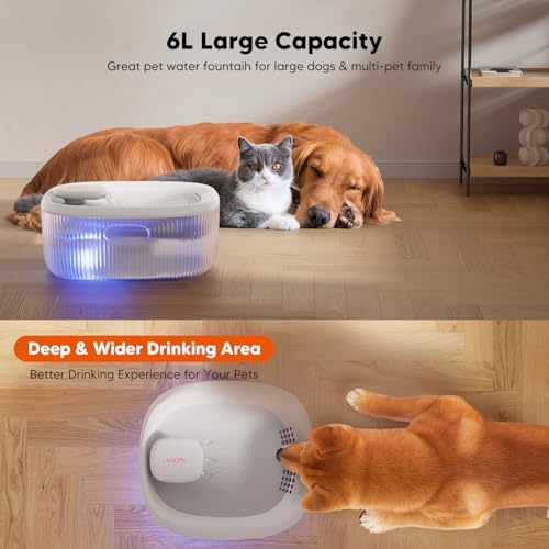 WOPET Dog Water Fountain for Large Dogs, 6L/205oz/1.7Gal Dog Water Bowl Dispenser, Automatic Cat and Pet Water Fountain wi...