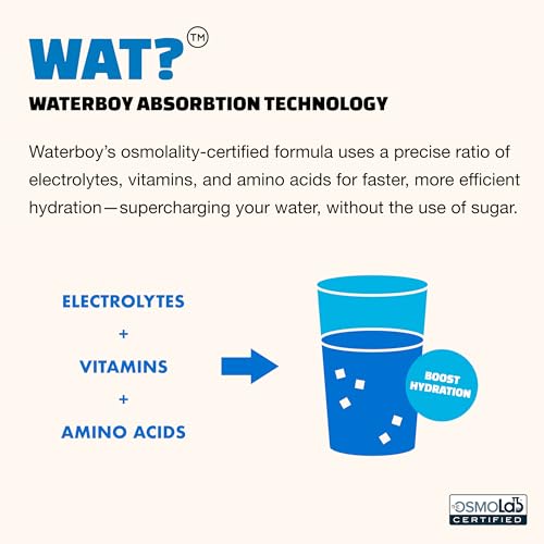 Waterboy Daily Hydration | 1,570mg Electrolyte Powder Packets | No Sugar, All Natural, Gluten Free, Zero Calories | 15 Dri...