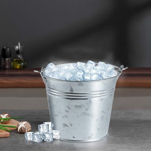 OBTANIM 8 Pack Galvanized Metal Buckets with Handle Ice Pails for Plants, Succulents, Party Favors Organizing, Rustic Home...