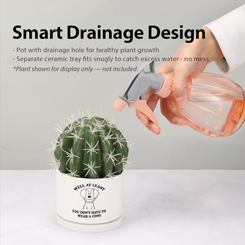 Well at Least You Don’t Have to Wear A Cone Recovery Gifts Ceramic Succulent Plant Pot with Tray Get Well Soon Gifts After...