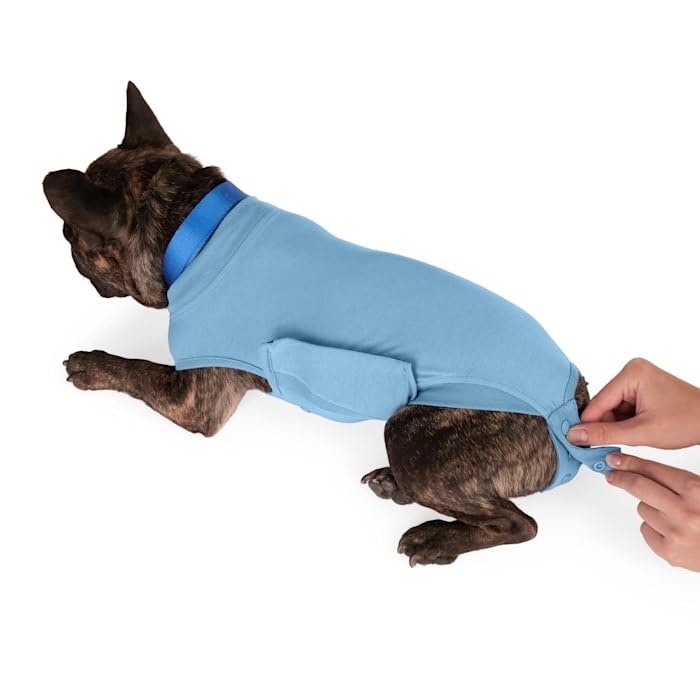 Well & Good Recovery Suit for Dogs Small/Medium