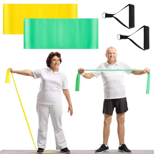 Relaxgiant 2 Pcs Resistance Band with Handles Chair Exercise Equipment for Seniors Physical Therapy Band Gifts for Elderly...