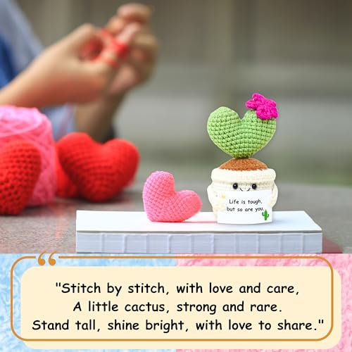 BRIFUFOUS Get Well Gifts for Women, Handmade Crochet Cactus – Plush Plant Gift with Encouragement Card for Desk Decor, Hom...