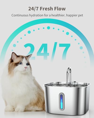 Cat Water Fountain Stainless Steel, 74oz/2.2L Cat Fountain with Quiet Pump, Automatic Pet Water Dispenser, Ideal for Mult...