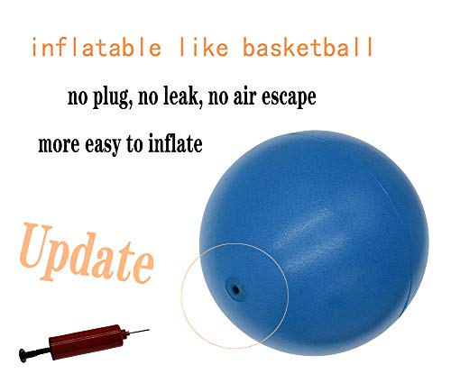 CIZEBO Pilates Ball 8 inch, Small Exercise Ball for Between Knees with Needle Pump for Core Workout & Physical Therapy Yog...