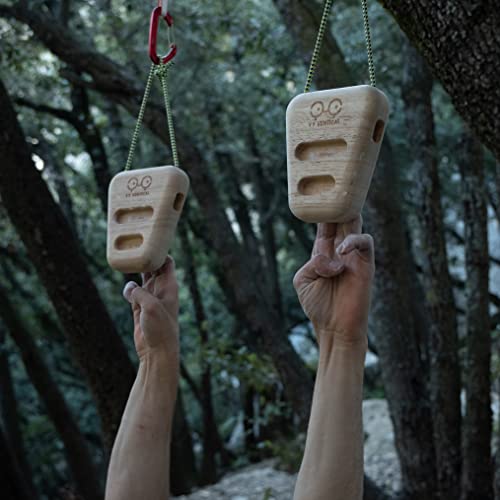 YY Vertical - Hang Holds