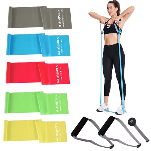 Professional Resistance Bands. Latex-Free, Work Out Bands, Stretch Bands for Working Out Women or Men, Exercise Bands Set ...
