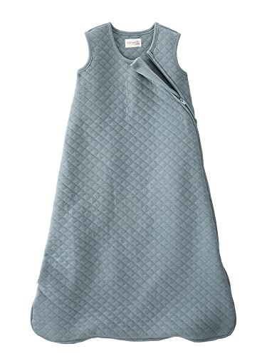 little planet by carter's Baby Organic Cotton Wearable Blanket