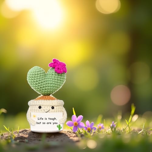 BRIFUFOUS Get Well Gifts for Women, Handmade Crochet Cactus – Plush Plant Gift with Encouragement Card for Desk Decor, Hom...