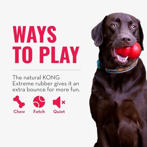 KONG Extreme Ball with Hole - Fetch Toy - Durable Dog Toy for Training, Interactive Playtime & More - Natural Extreme Rubb...