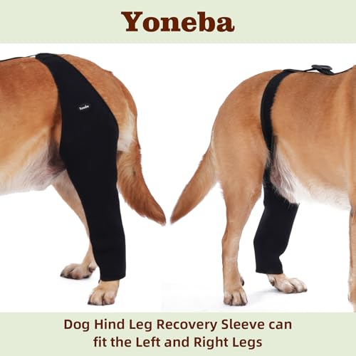 Dog Recovery Sleeve Back Leg Breathable Material,Dog Leg Sleeve to Stop Licking and Biting Firm and Secure, Adjustable Siz...
