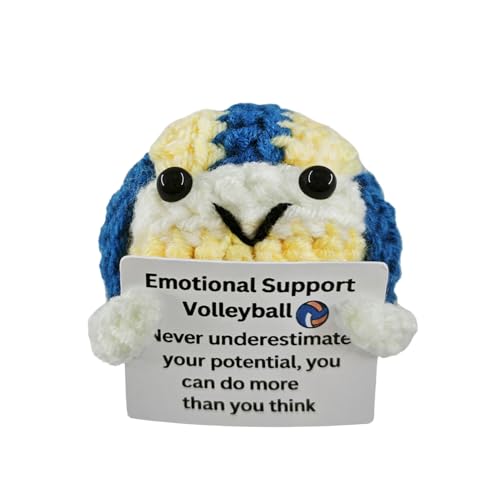 Handmade Crochet Volleyball - Gift for Volleyball Lovers,Valentine's Day,Birthday Emotional Support,Unique Volleyballs Gif...