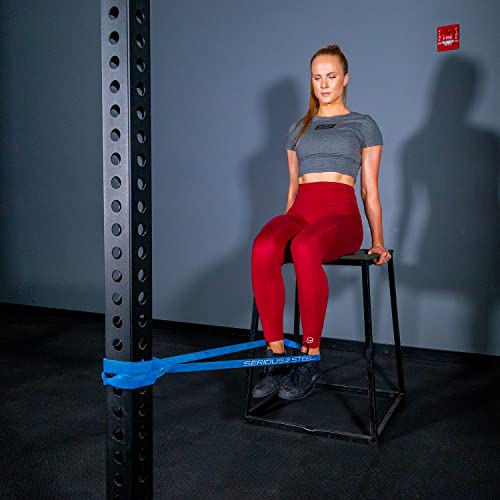 SERIOUS STEEL FITNESS Assisted 41" Pull-Up Band, Resistance & Stretch, Powerlifting & Pull-up Assist Loop (Single Band)