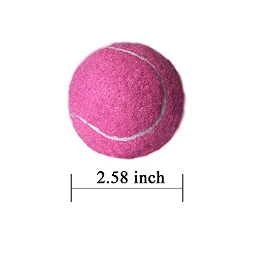 HiBallBall 12-Pack Practice Tennis Balls for Beginners & Dogs - Reusable Mesh Carry Bag Included - Ideal for Tennis Traini...