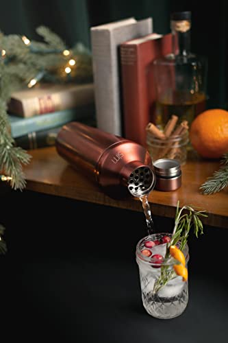Simple Modern Cocktail Shaker Set with Jigger Lid | Stainless Steel Boston Shaker Insulated Martini Mixer for Mocktails | ...