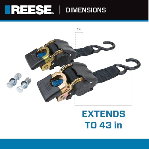Reese Powersports 2060300 Retractable Transom Tie Down, 2 Inch x 43 Inch, 833 lbs. working load limit and 2,500 lbs. break...