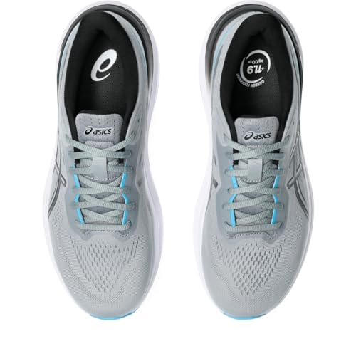 Asics Men's GT-1000 13 Running Shoes