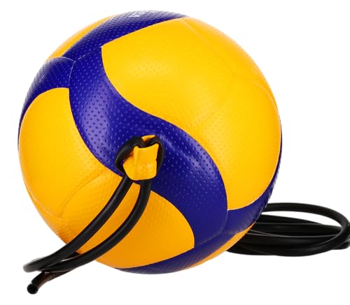 V300W-AT-TR Official Size, tethered Training Volleyball