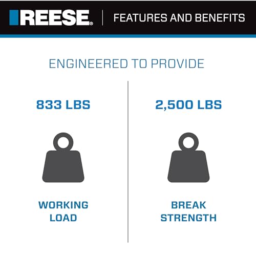 Reese Powersports 2060300 Retractable Transom Tie Down, 2 Inch x 43 Inch, 833 lbs. working load limit and 2,500 lbs. break...