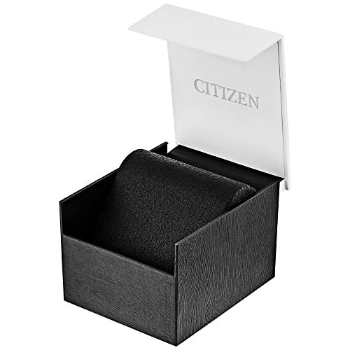 Citizen Men's Eco-Drive Weekender Avion Field Watch