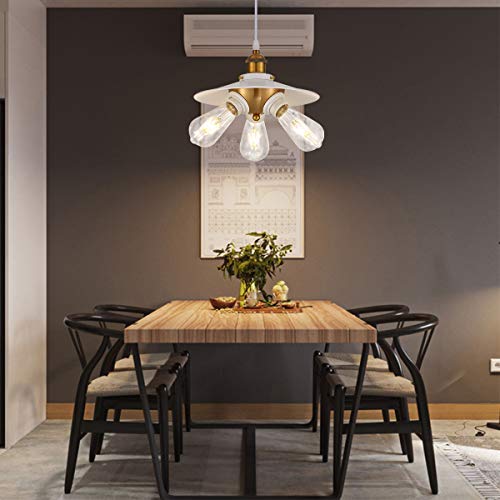YLONG-ZS Hanging Pendant Light with 16.4 FT Cord and On/Off Switch, White, Model 791809449601
