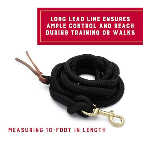 Weaver Equine Performance Lead Rope, Black, 10' Horse Cowboy Rope with Brass Plated Snap, Soft Comfort Grip, Barn Horse Ta...