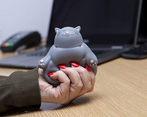 Boxer Gifts Kalma Kitty Stress Relief Toy | Unique Stress Balls for Adults & Teens - Squishy Fidget Toys for Anxiety - Coo...
