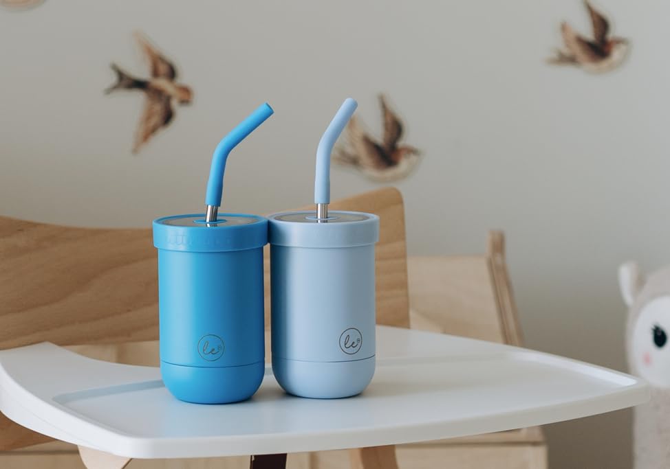 LITTLE ECOS Double walled insulated stainless steel kids & toddler cups with straws and lids | Best Sippy cups with straw for boys 1+ year old | Holds 12oz capacity - On the Go Travel containers