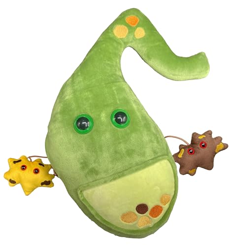 GIANT MICROBES Deluxe 14" Gallbladder Plush with Gallstones, Biology Stuffed Animal, Gallbladder Surgery Recovery Gifts, G...