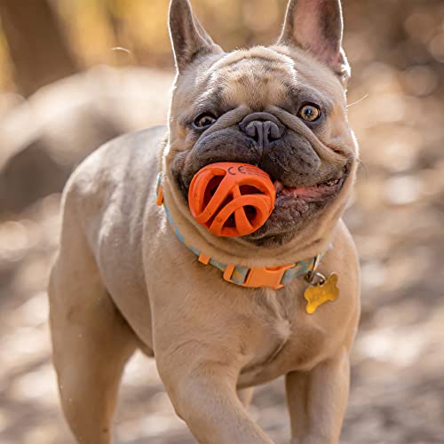 Chuckit! Air Fetch Ball Dog Toy, Small (2 Inch Diameter), for dogs 0-20 lbs, Pack of 2