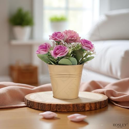 Hosley 6 Pack Gold Metal Buckets, 4" Dia x 3.6" H. Ice Pails for Plants, Succulents, Party Favors Organizing, Rustic Home ...