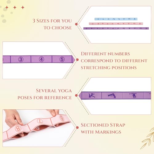 Teyva Daily 3 Pcs Stretch Strap with Loops Elastic Yoga Stretching Strap Multi Loop Stretch Bands for Exercise Therapy, Pi...