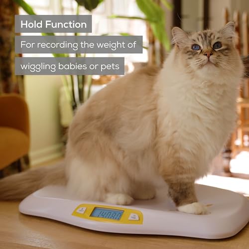 Beurer BY80 Digital Baby Scale, Infant Scale for Weighing in Pounds, Ounces, or Kilograms up to 44 lbs, Newborn Baby Scale...