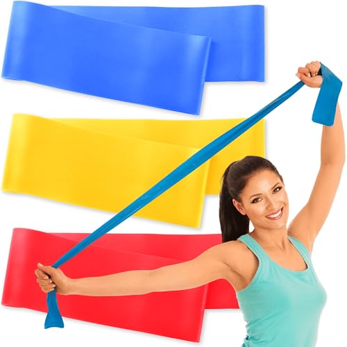 RMS Resistance Bands with Instruction Guide & Carry Bag - Latex Free Exercise Band for Working Out, Physical Therapy, Reha...